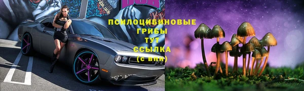 ПСИЛОЦИБИНОВЫЕ ГРИБЫ Каменногорск