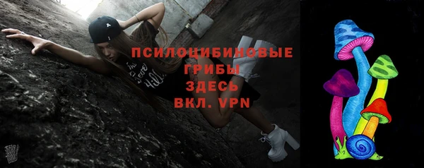 ПСИЛОЦИБИНОВЫЕ ГРИБЫ Каменногорск