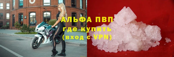 ПСИЛОЦИБИНОВЫЕ ГРИБЫ Каменногорск