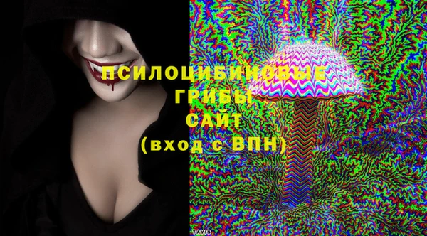 ПСИЛОЦИБИНОВЫЕ ГРИБЫ Каменногорск
