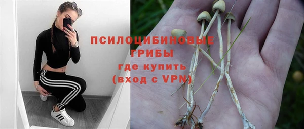 мдпв Каменск-Шахтинский